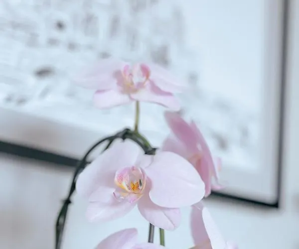 Przechodnia 2 Yellow - Biurko Oraz Wygodny Fotel Do Pracy - Better *