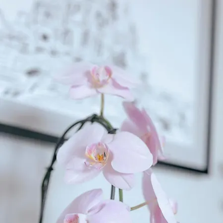 Przechodnia 2 Yellow - Biurko Oraz Wygodny Fotel Do Pracy - Better *